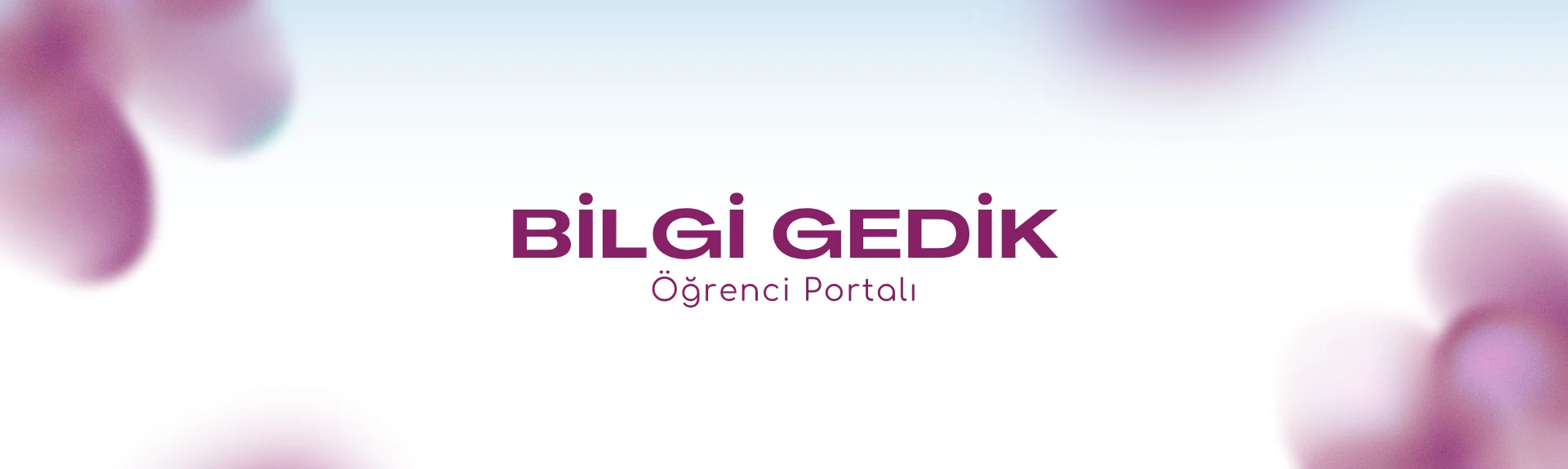Bilgi Gedik